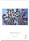 Image of Grafikpapper Hahnemühle Etching 350g 1,24m x 20m bright white matt 10105794 4011367057947