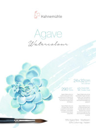 Image of Hahnemühle Agave 290g