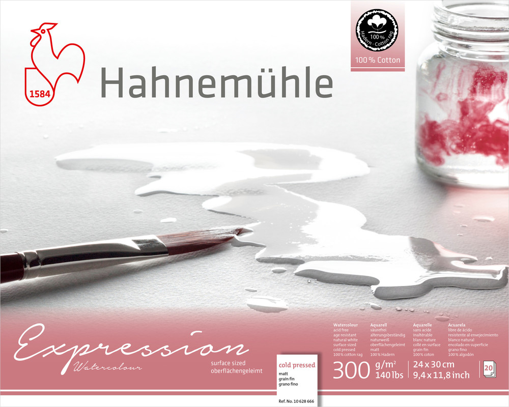 Image of Hahnemühle Expression 300g