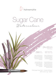 Image of Hahnemühle Sugar Cane