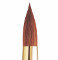 Image of Sceptre Gold