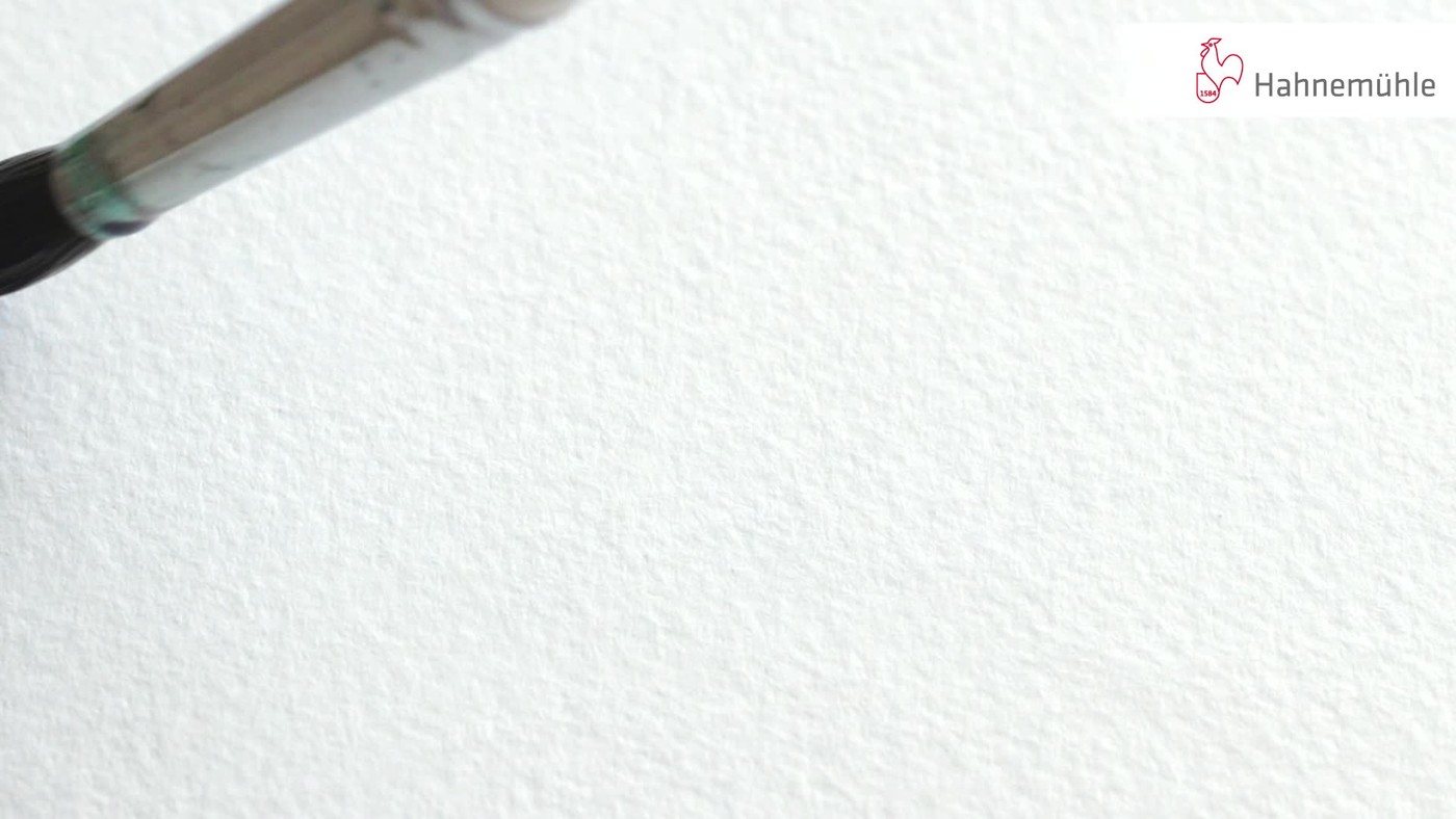 Image of Akvarellpapper Hahnemühle Harmony 300g Cold Pressed 50x65cm (10F) 10627510 4011367106713