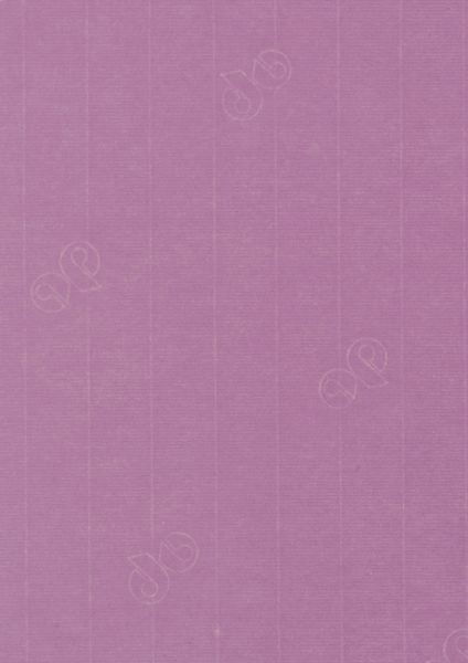 Image of Papper 1001 A4 100g 5-pack  Elder 455  Best. vara 10779614455 7612450983180