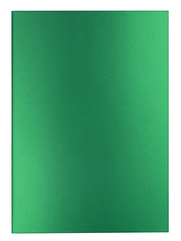 Image of Skrivbok Caran d´Ache Notebook lined A5 - green 454406 7630002354011