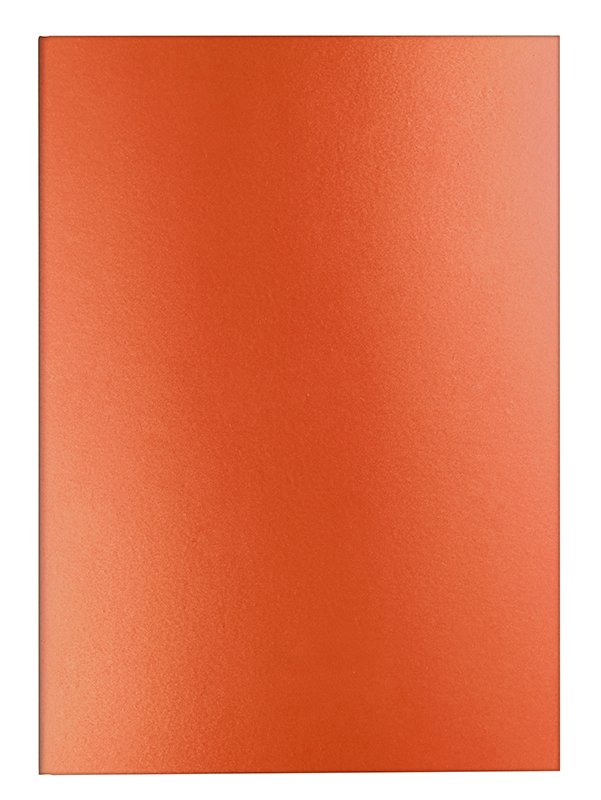 Image of Skrivbok Caran d´Ache Notebook lined A5 - orange 454412 7630002354073