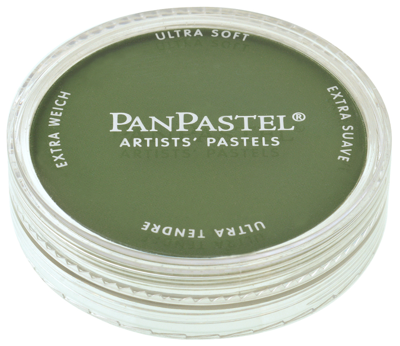 Image of PanPastel Chromium Oxide Green Shade 660,3 (3F) 426603 879465001262
