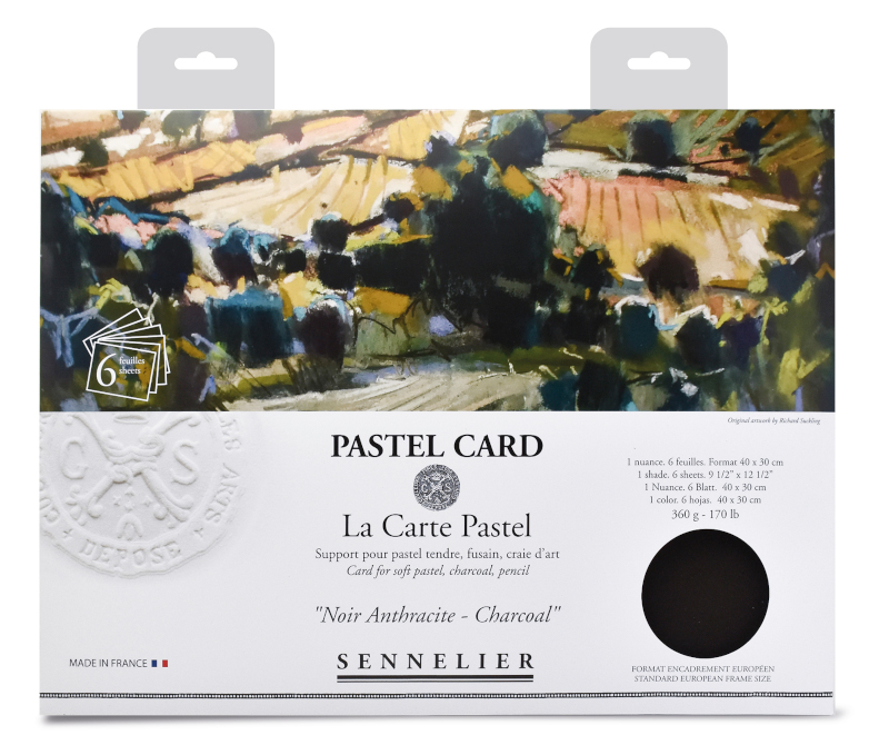 Image of Pastellpapper Sennelier Pastel Card pack- 6 sheets 40x30cm - Monochrome charcoal 26220014 3046451903979