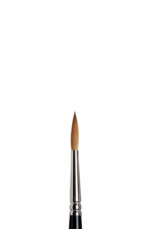 Image of Mårdhårspensel Winsor & Newton Serie 7 St 5 diam 3 mm, längd 20 mm 5007005 094376861020