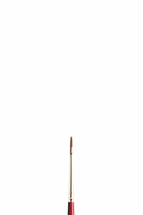 Image of Mård_Syntetpensel Sceptre Gold II S505 Flat långt skaft St 0 (3F) 5185700 094376862966